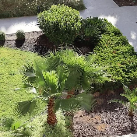 River Terrace & Pool View - *